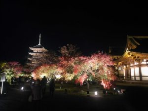 東寺ライトアップ境内画像