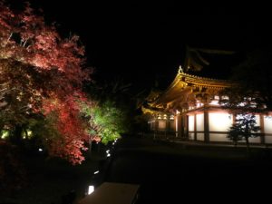 東寺ライトアップ画像