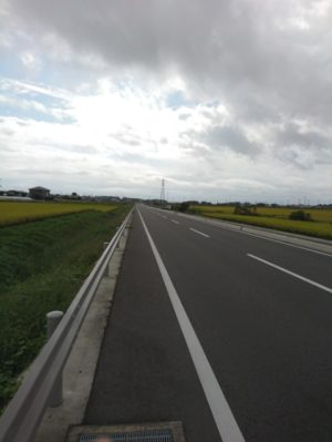 田んぼ道画像
