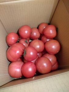 トマトいっぱい